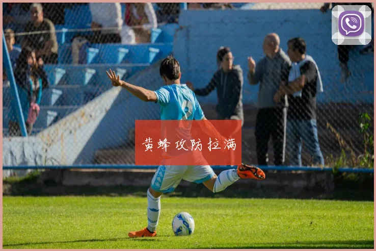 黄蜂攻防拉满