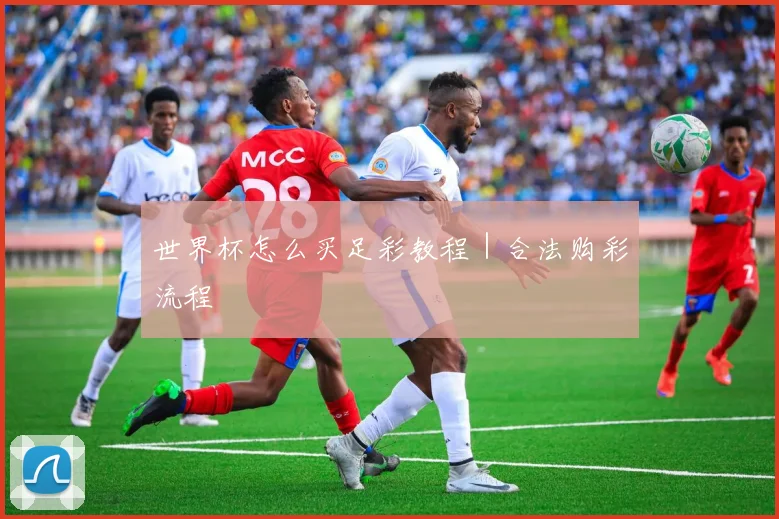 世界杯怎么买足彩教程｜合法购彩流程