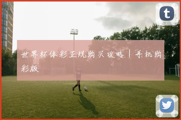 世界杯体彩正规购买攻略｜手机购彩版