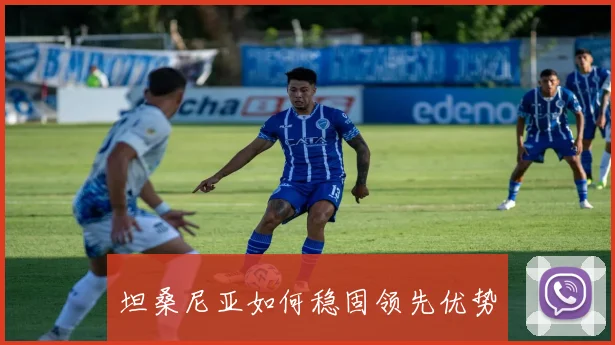 坦桑尼亚如何稳固领先优势