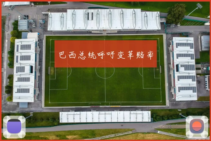 巴西总统呼吁变革赔率