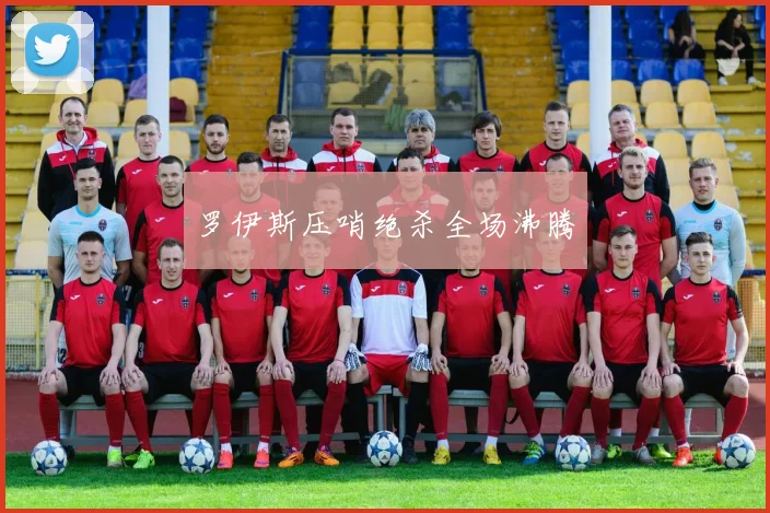 罗伊斯压哨绝杀全场沸腾