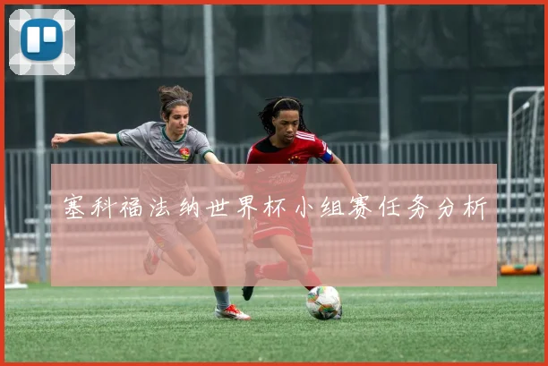 塞科福法纳世界杯小组赛任务分析