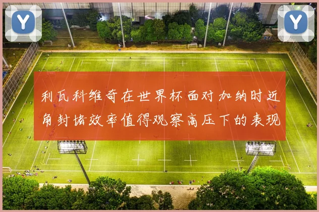 利瓦科维奇在世界杯面对加纳时近角封堵效率值得观察高压下的表现
