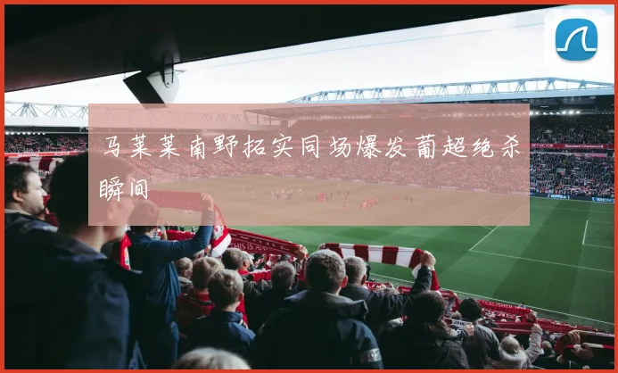 马莱莱南野拓实同场爆发葡超绝杀瞬间