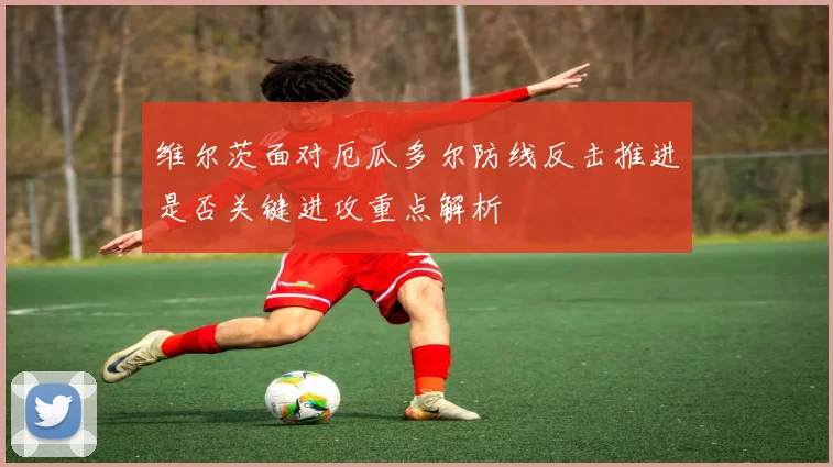 维尔茨面对厄瓜多尔防线反击推进是否关键进攻重点解析